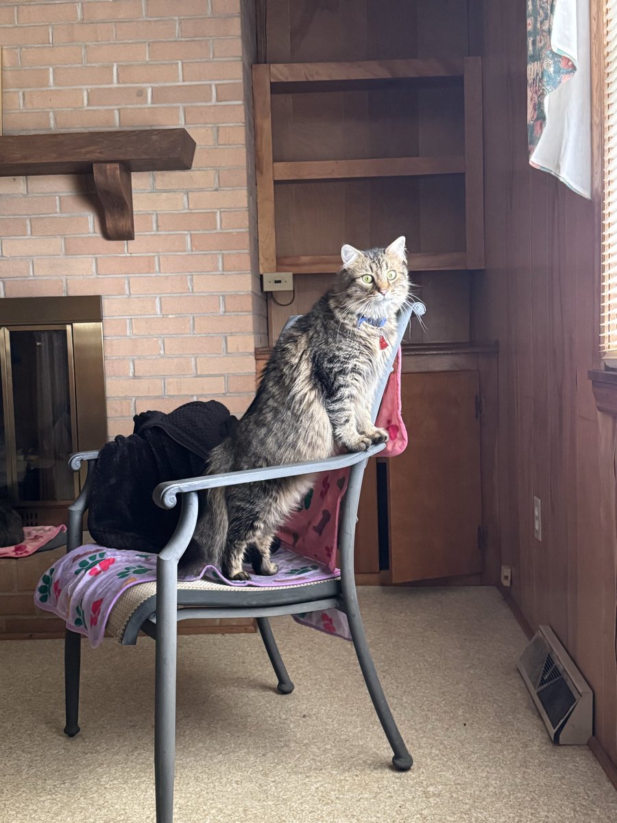 magicaldaisy007 tweet media