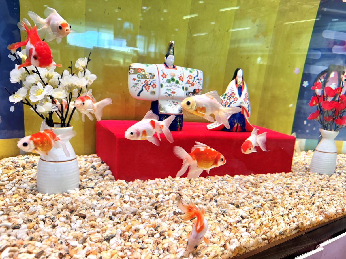 おはようございます！ 🌸🌸 #ひなまつり 🌸🌸 本日はひな祭りですね