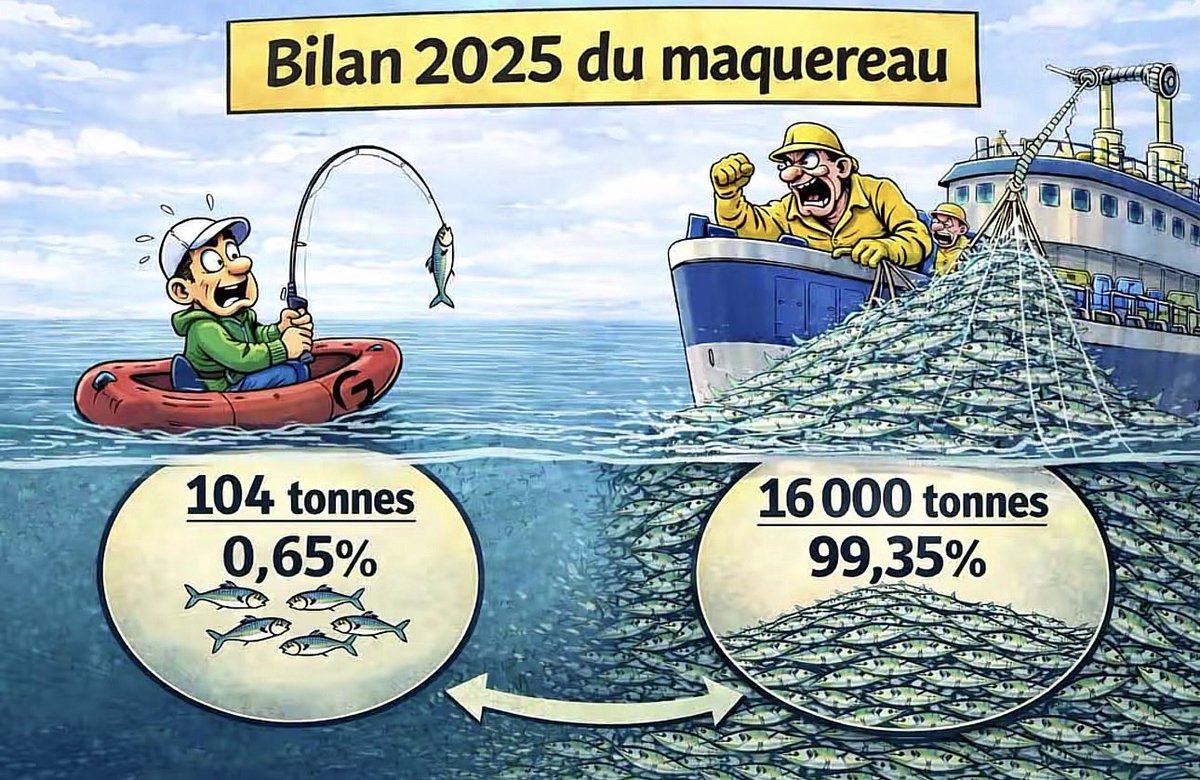 carlo669921's tweet image. #pechedeloisir #france #Europe #pèche