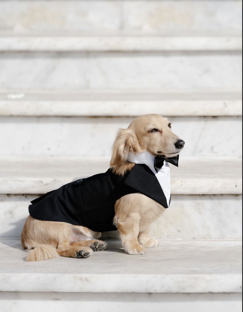 Leo in his tux 😭😭😭🤏🏻🤏🏻