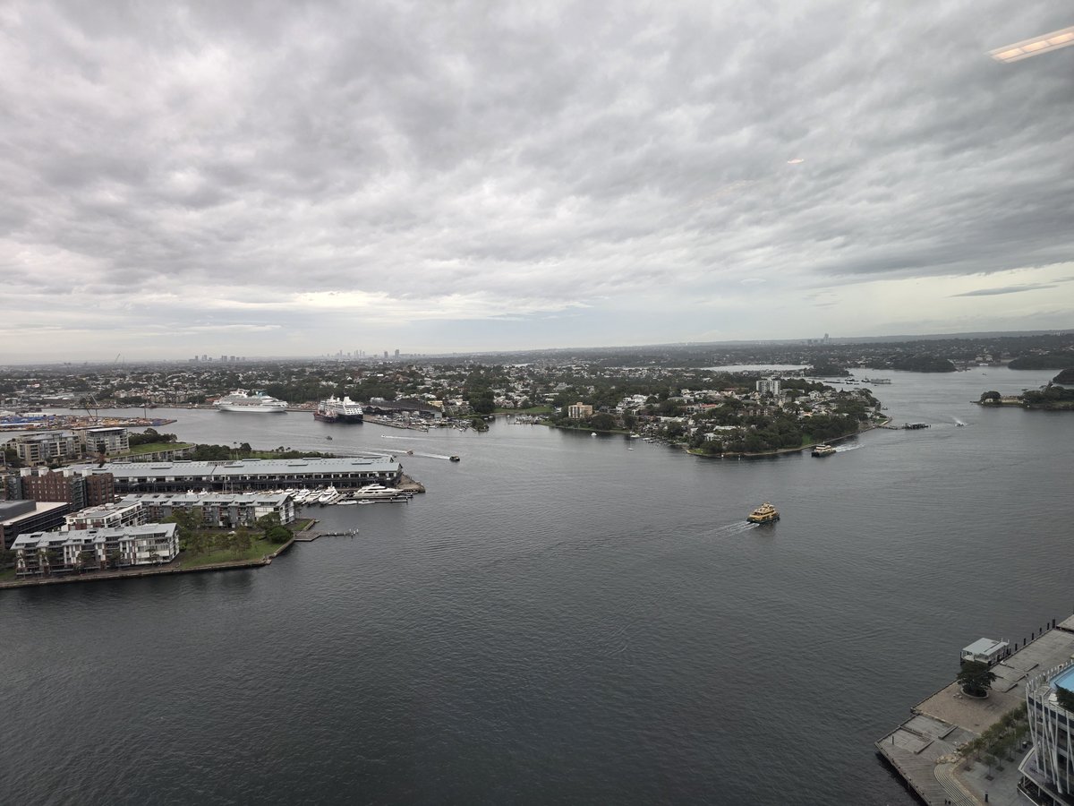 Shaun Ewing tweet media