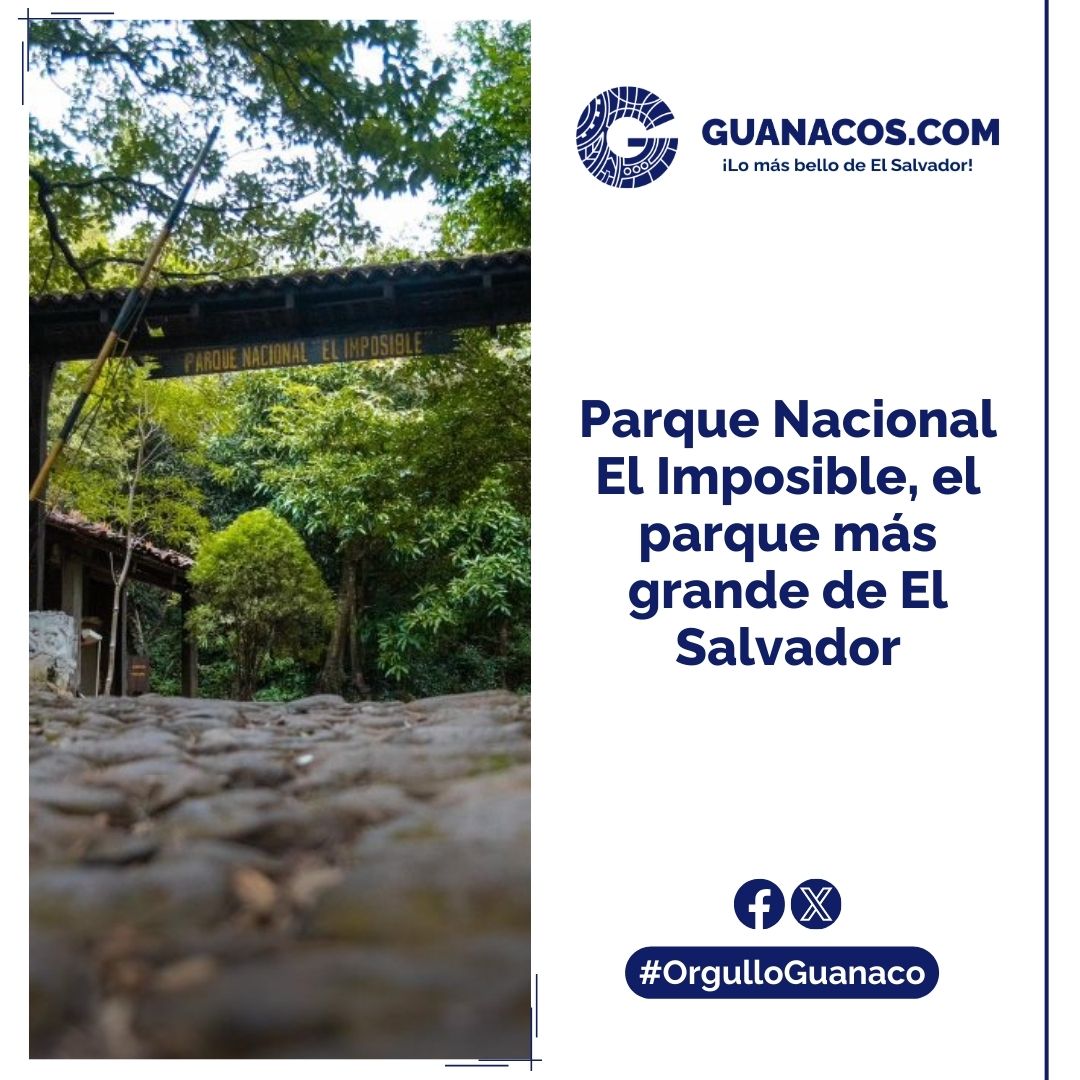 alertux's tweet photo. #Alertux Te invitamos a que descubras las maravillas del Parque Nacional El Imposible, el parque natural más grande El Salvador. 🤲
Link: https://t.co/domV5ZMWWr
En @GuanacosES aprendes sobre lo bello de El Salvador. 🇸🇻 https://t.co/PSjDo9jxPE