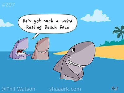 Shaaark! tweet media