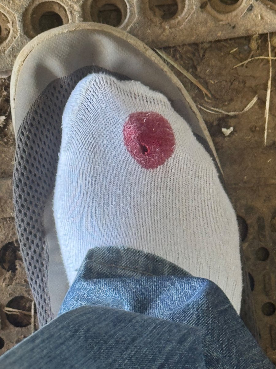 Cade Morris tweet media