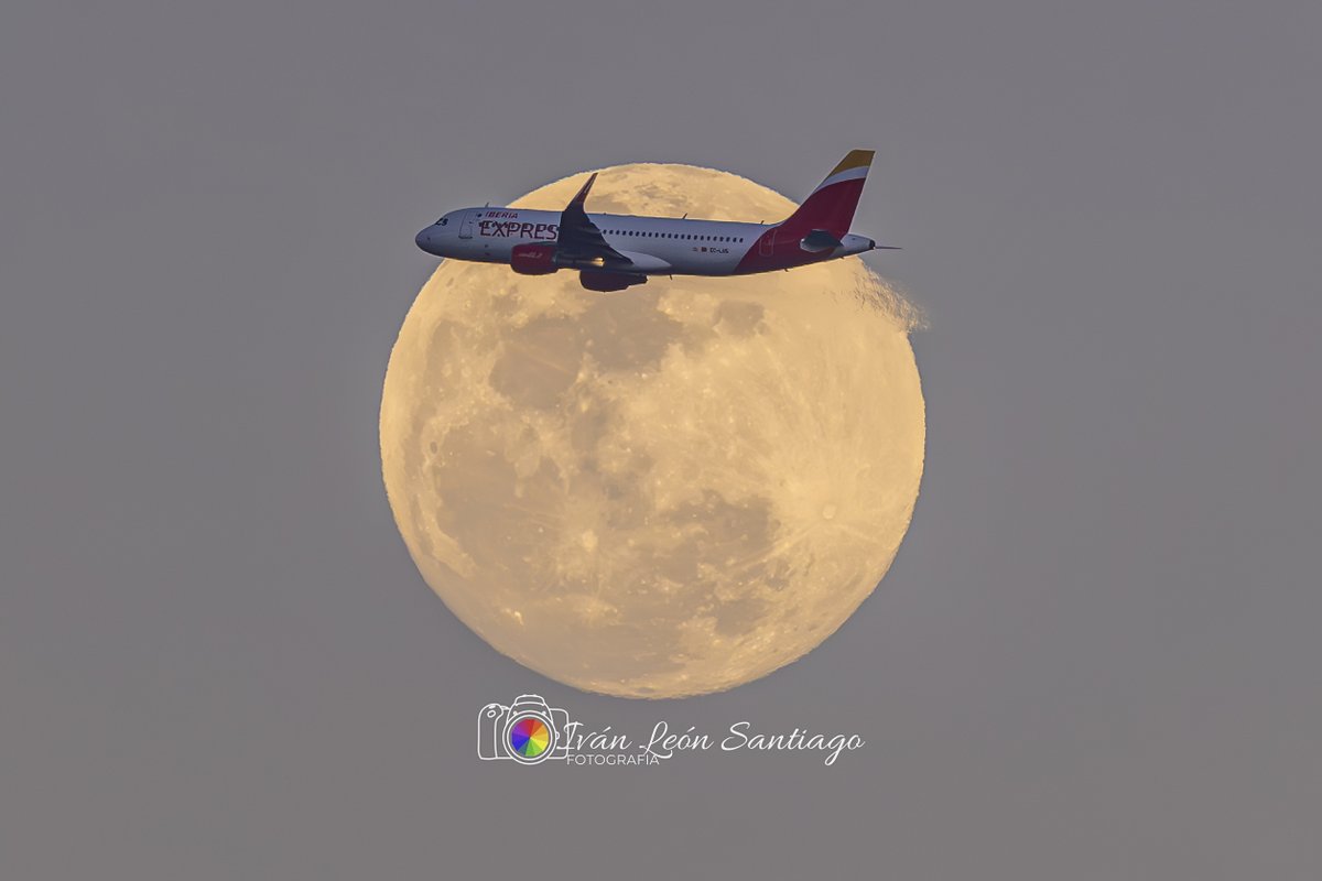 Iván León Santiago tweet media