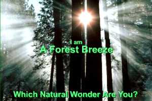 ŏﺡó ✈ ❤️ (@eliteflyer75) on Twitter photo 