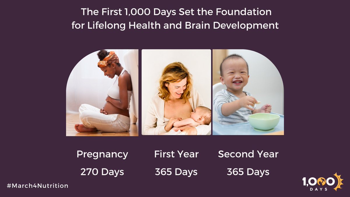 1,000 Days tweet media