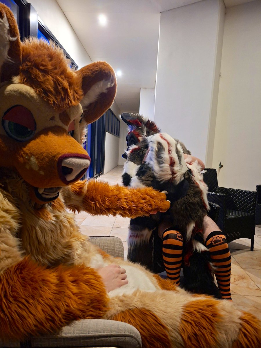 algos // brunswick tweet media