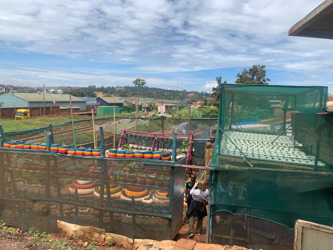 Network for Active Citizens tweet media