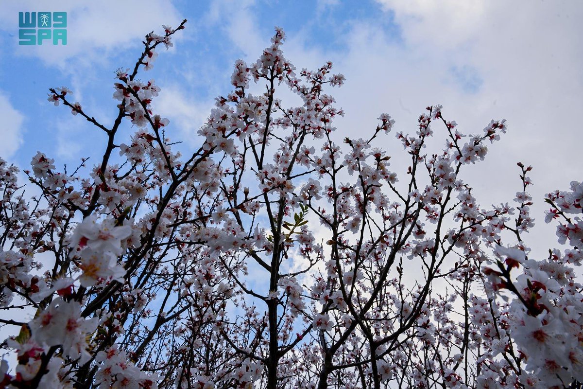 واس الاقتصادي tweet media