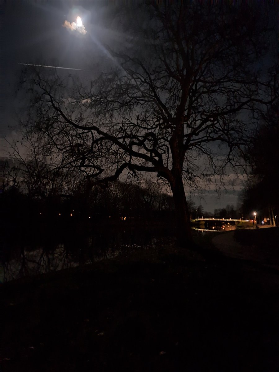 Went on a walk, listening to Fleetwood Mac 👍🏻