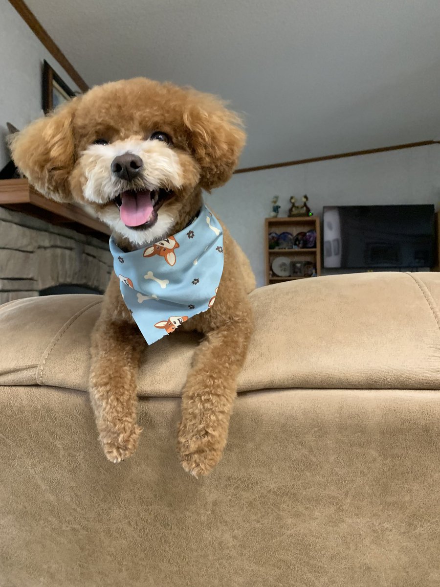 Levi says ….Happy March to all!