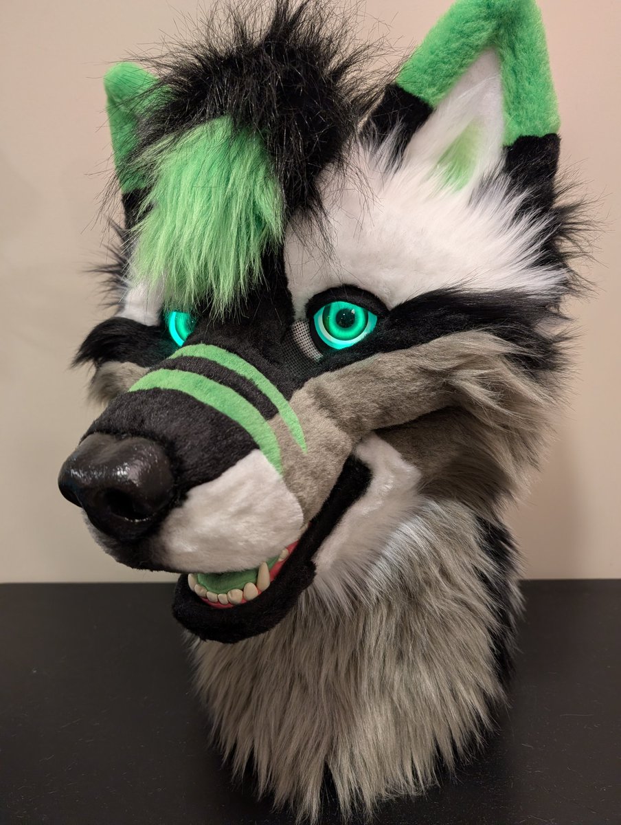 Glitch the striped wolf is for sale! Asking $5,200 OBO + shipping 

He has follow-me eyes with LEDs and a moving jaw! Comes with handpaws w/ resin claws and silicone pawpads, arm sleeves and a big striped tail. DM me if interested! 🐺