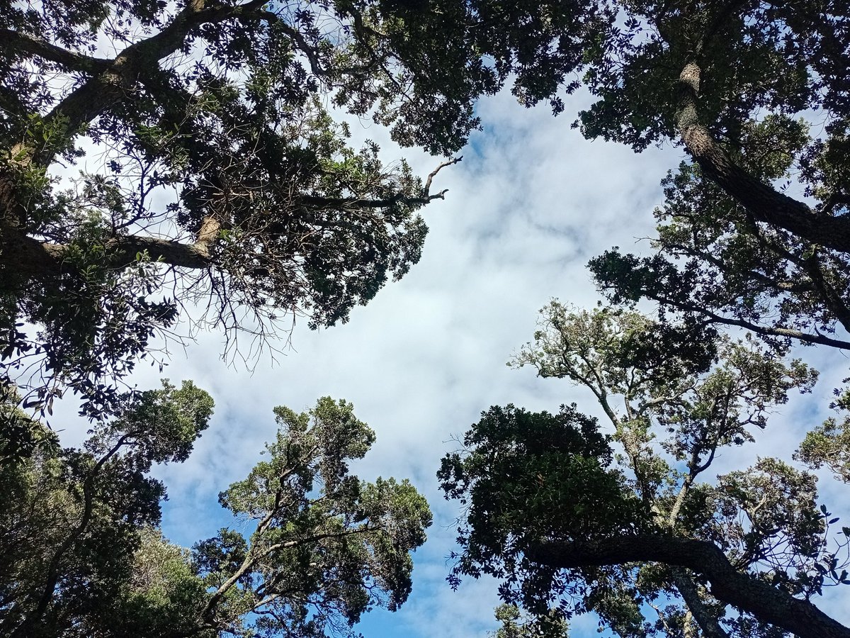 Glad I'm poor and can't afford international travel. Very happy to be "stuck" in New Zealand for the rest of my life.