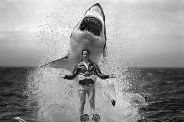 Tom_B_Is_OK tweet media