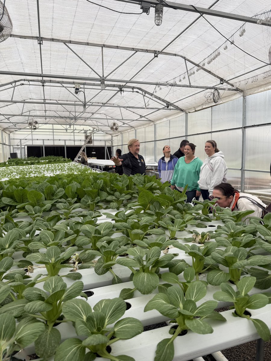 Cobb County STEM/STEAM & Innovation Department tweet media