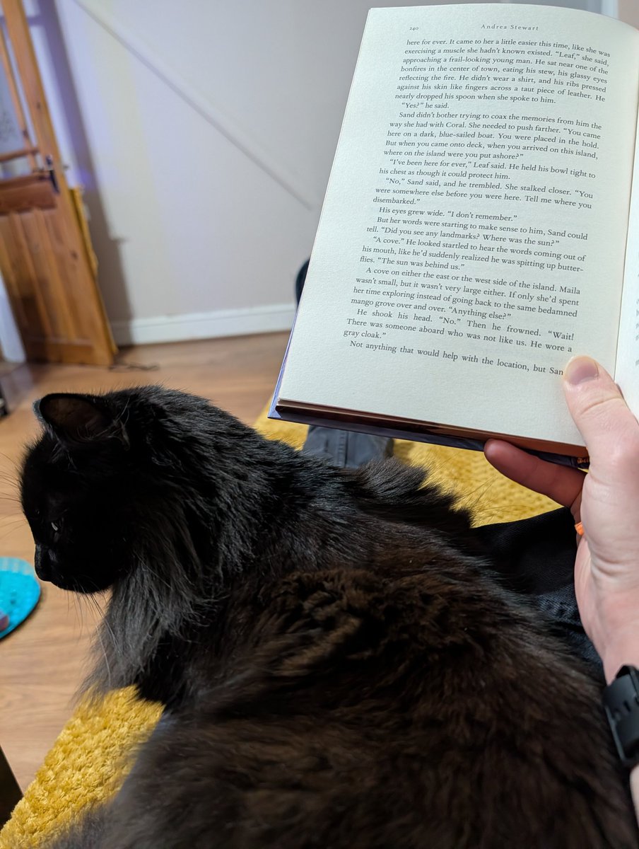 Cosy evening with cat cuddles while reading are what make some of the best evenings 🥰 Thank you Sabran for the company no matter how fleeting it may be