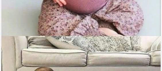 ونتر tweet media