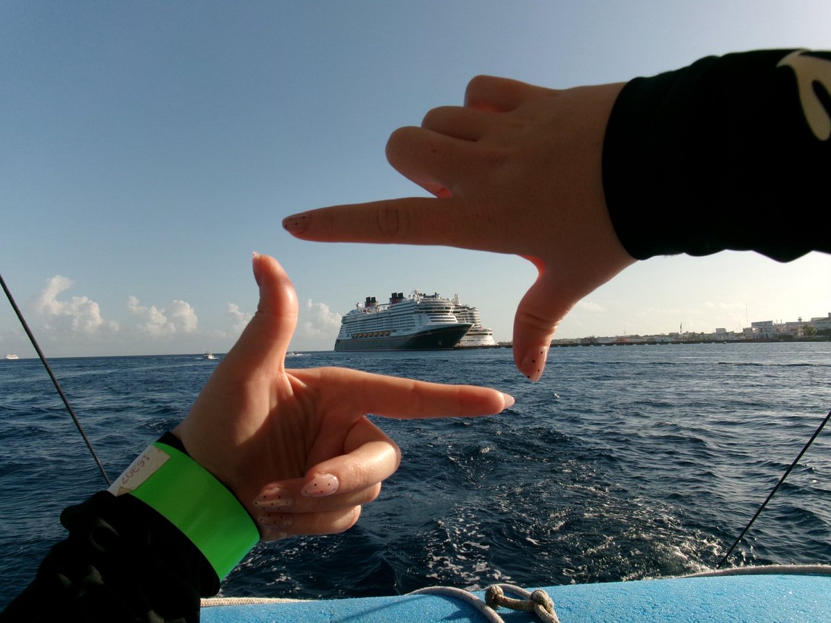 TheConnorWebber tweet media