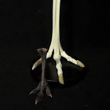 Cosmic_Squid tweet media