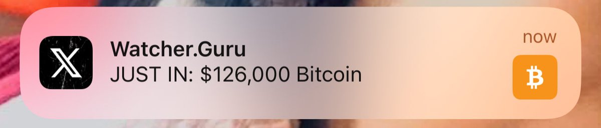 The Late Adopter tweet media