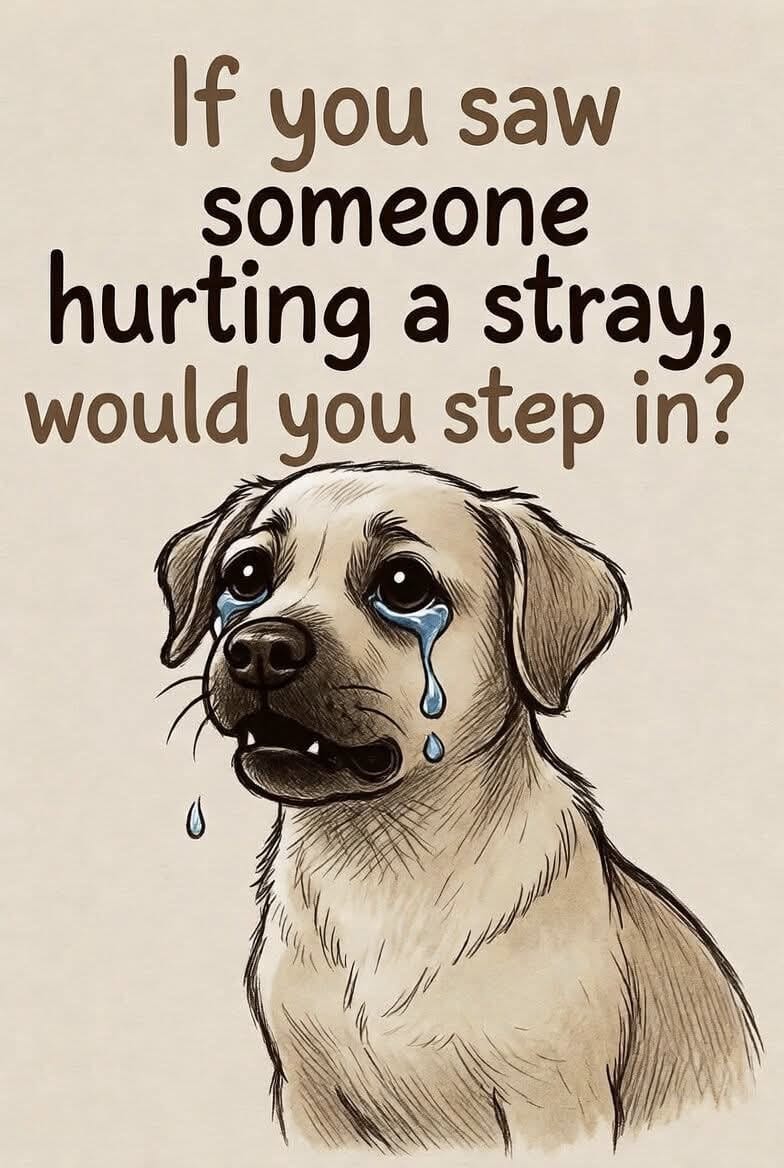 My dog isn’t “just a pet” — he’s family.
And I protect my family. ⚖️🐶