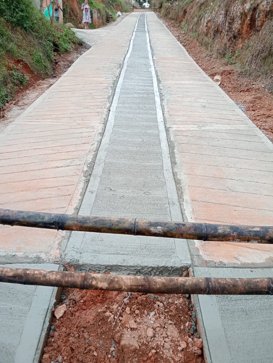 SENA_RValle's tweet photo. Campesinos del sector Puente Palo y vía Las Guacas, en La Cumbre, entregaron con orgullo 50 m. de placa huella a su comunidad, como resultado del curso Construcción de pavimento con placa huella para vías terciarias del Centro de Biotecnología Industrial.
#CampeSENA #FullPopular https://t.co/T7aPDok6V0