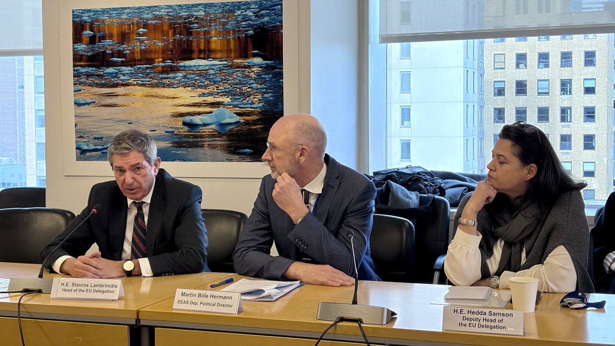 🇪🇺EU at UN-NY tweet media