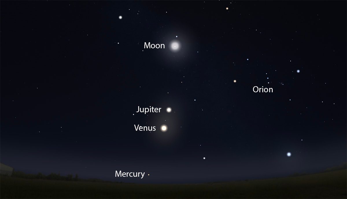 EMMANÛÉL tweet media