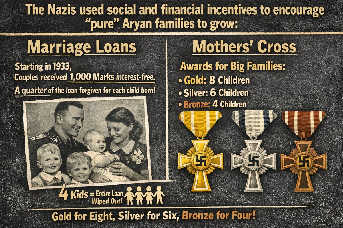 Reform campaigned for women to have more children, those childless women would be taxed more!

Sounds like Na.zi Germany in WW2 who wanted pure Aryan families!