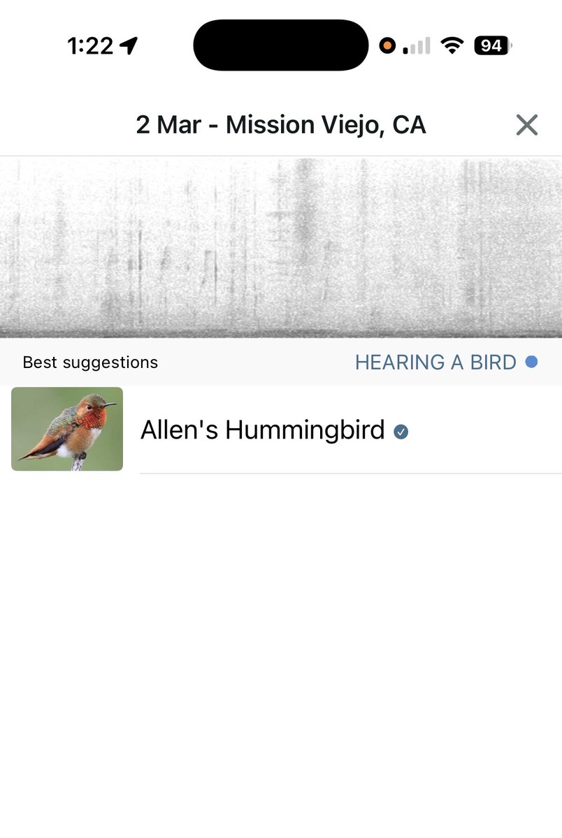 Courtney Ellis 🎈 tweet media