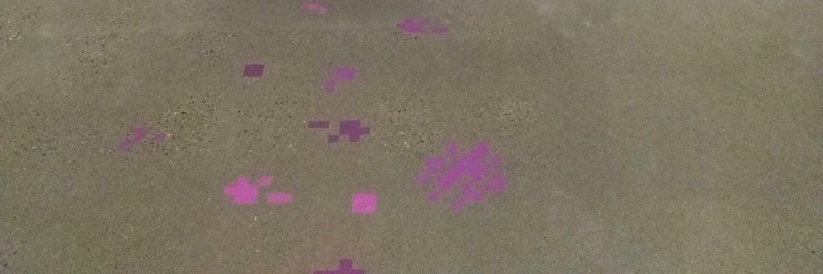 𝚂𝙰𝙻𝙴𝙷 tweet media