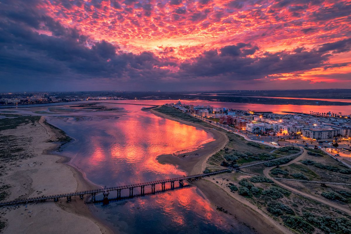 Rafaelsanexp tweet media