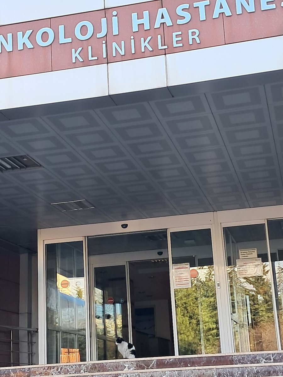 <a href="/saglikbakanligi/">T.C. Sağlık Bakanlığı</a> Onkoloji hastanelerinde bile kedi köpek dolaştığını biliyor muydunuz ?