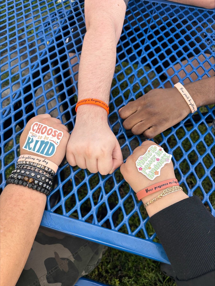 SeagullALTHS tweet media