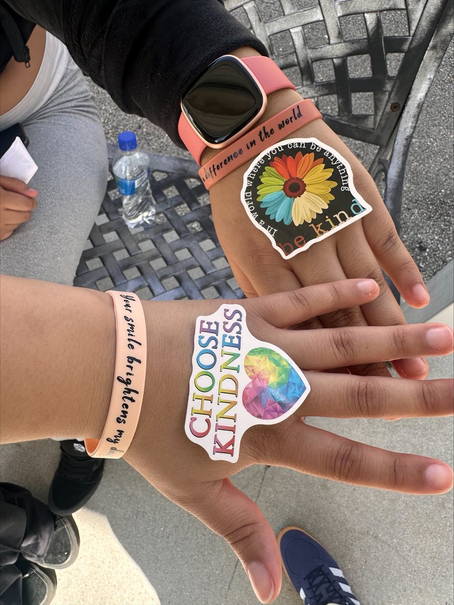 SeagullALTHS tweet media