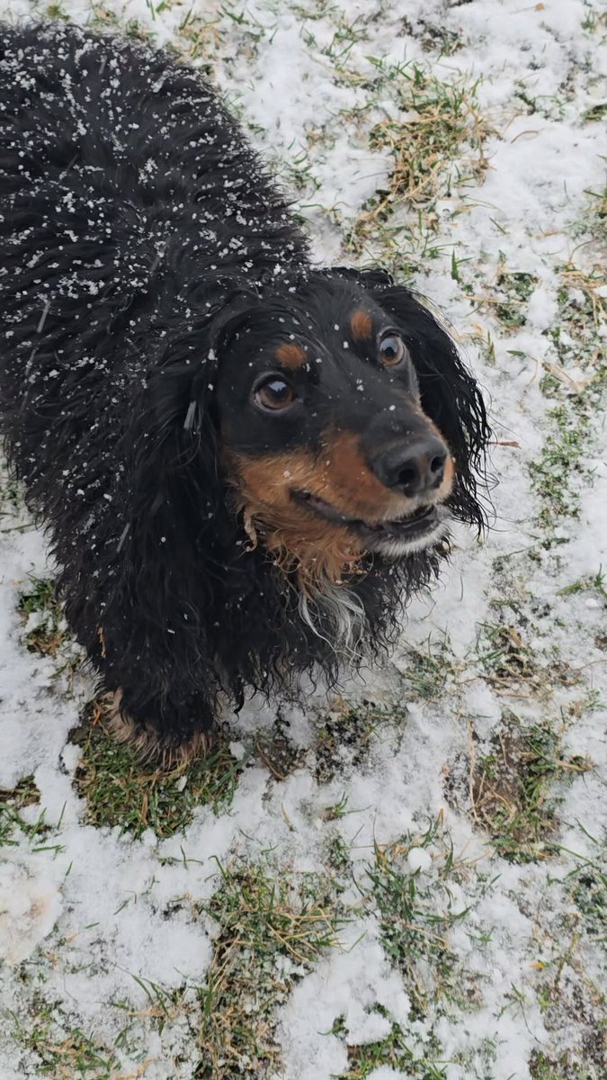 Matthew Monroe tweet media