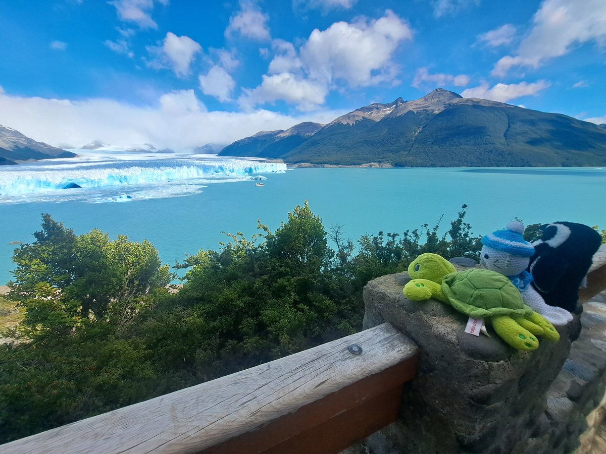 Holaa, schaut mal, wo wir waren! Am Perito Moreno Gletscher. Meeega schön. Wir sind später ganz nah dran vorbeigelaufen.