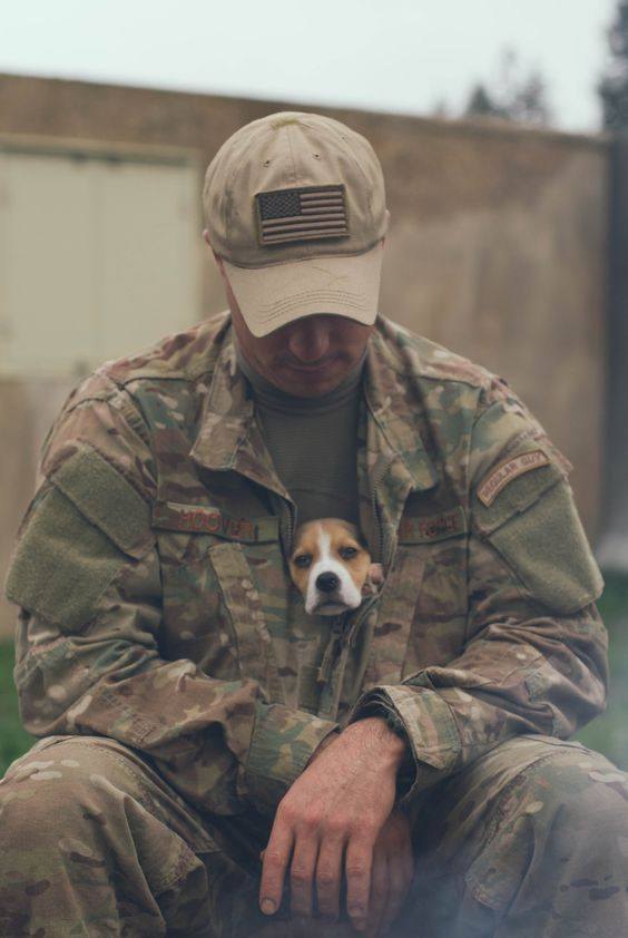 Beyond The Leash tweet media