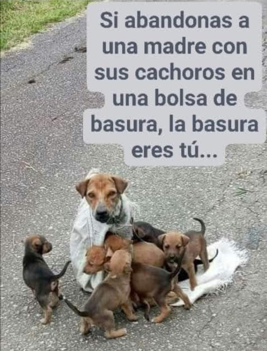 Manu Saenz💛💛 (@manusaenzvolvio) on Twitter photo 