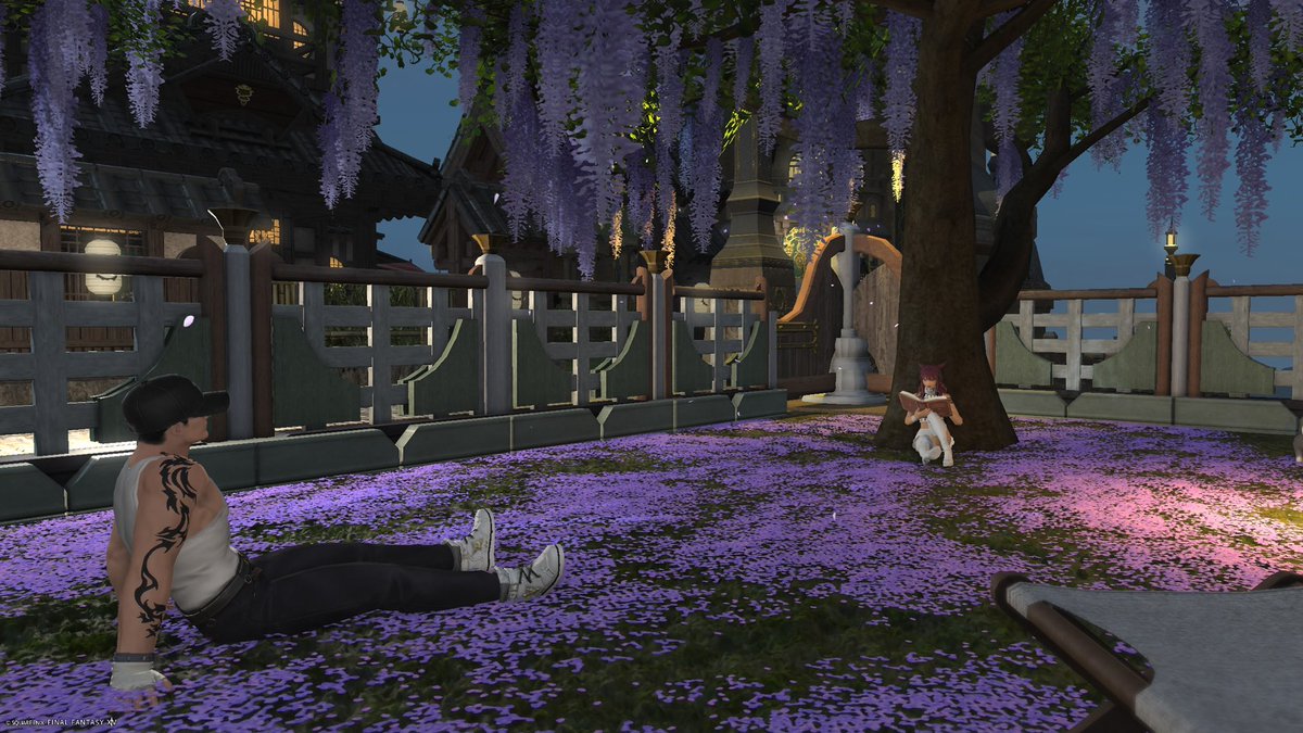 𓆩♡𓆪🇫🇷 Erin 🇵🇸 𓆩♡𓆪 tweet media