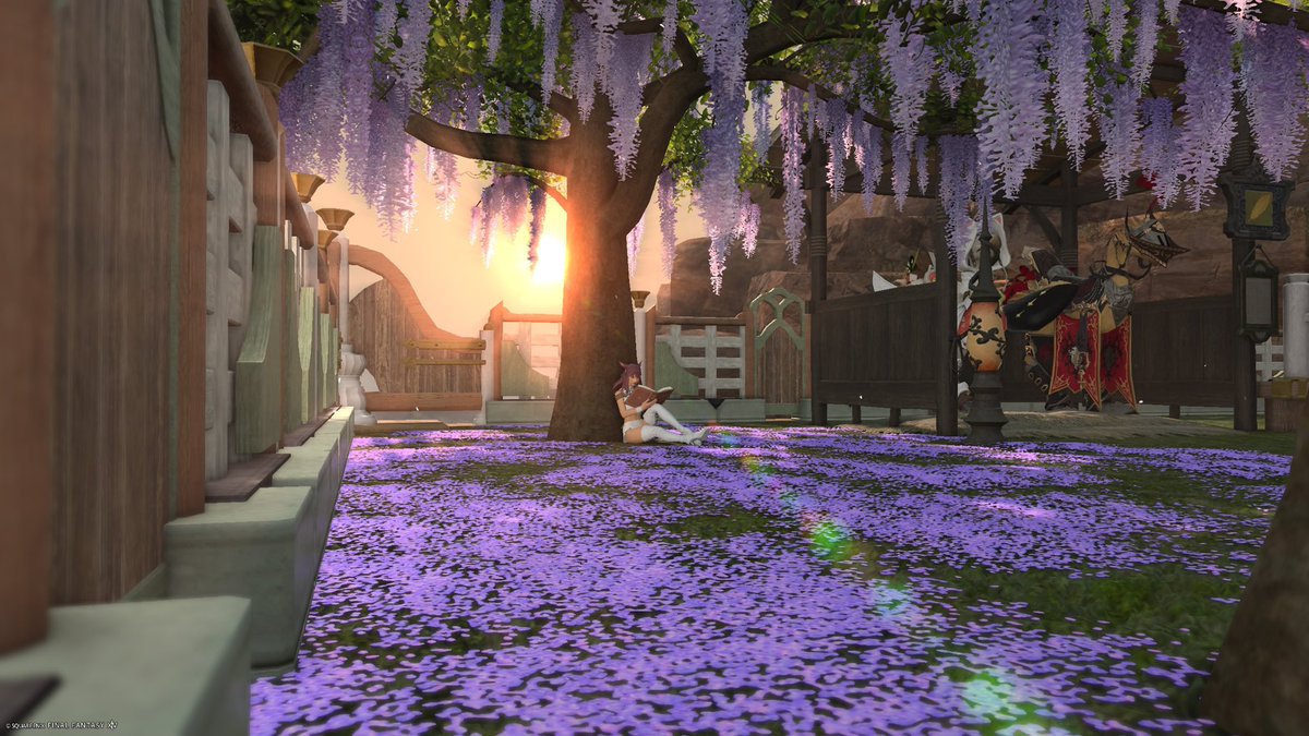 𓆩♡𓆪🇫🇷 Erin 🇵🇸 𓆩♡𓆪 tweet media