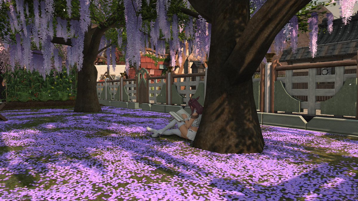 𓆩♡𓆪🇫🇷 Erin 🇵🇸 𓆩♡𓆪 tweet media