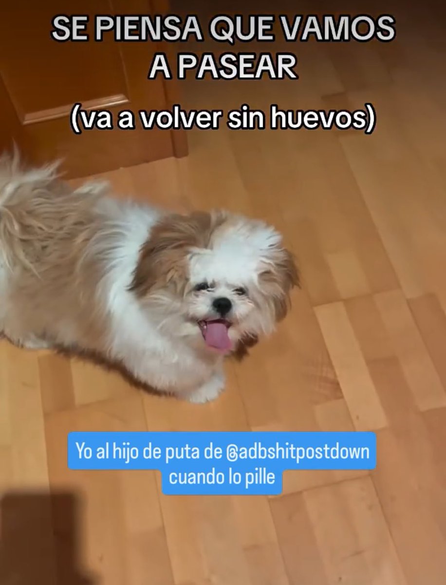 adb_shitpostdown tweet media