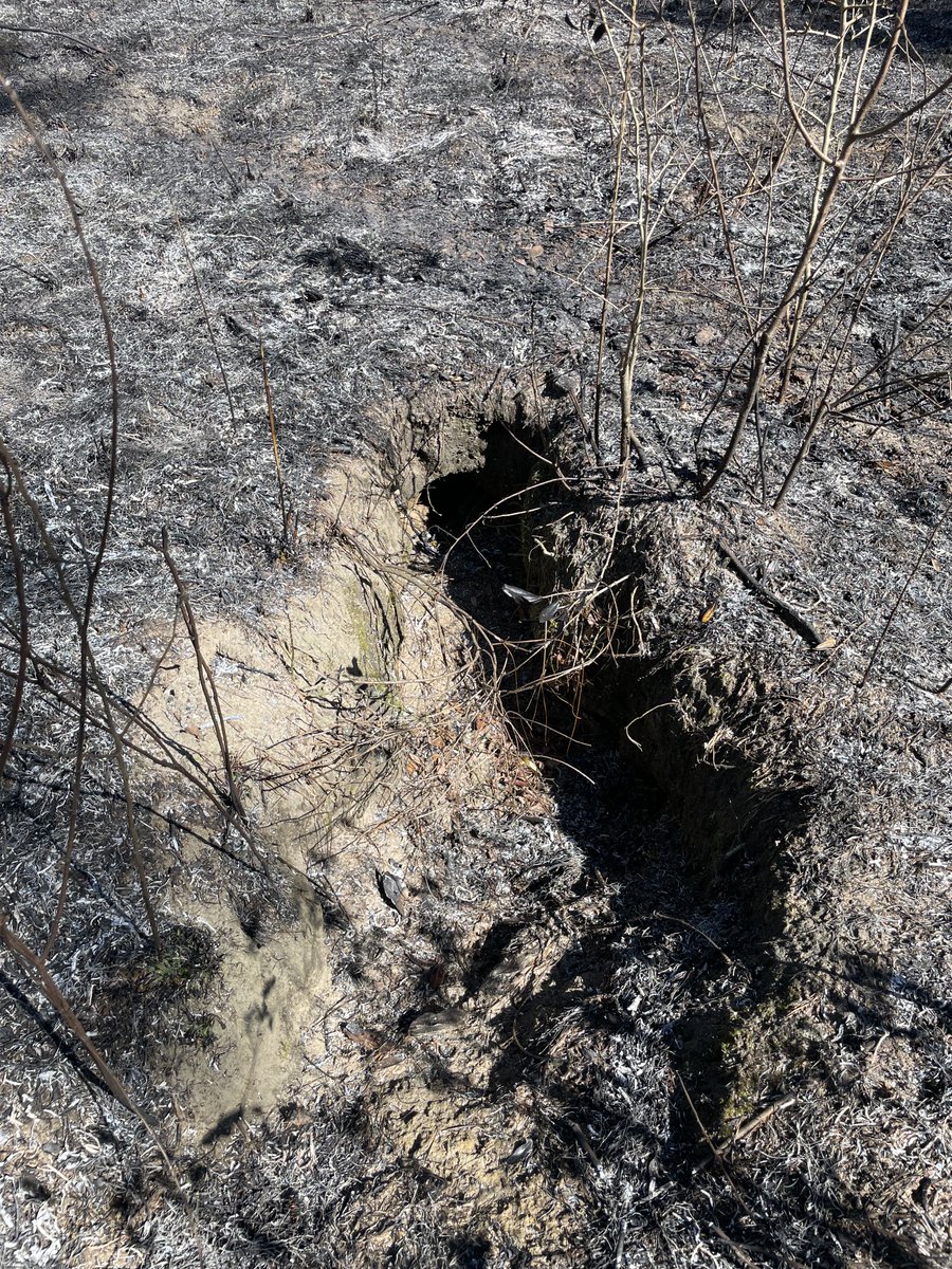 Gus Thegun tweet media