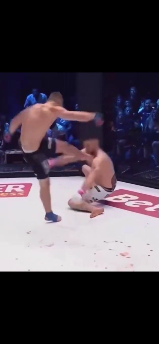 🥙Tony Bologna 🥙 tweet media