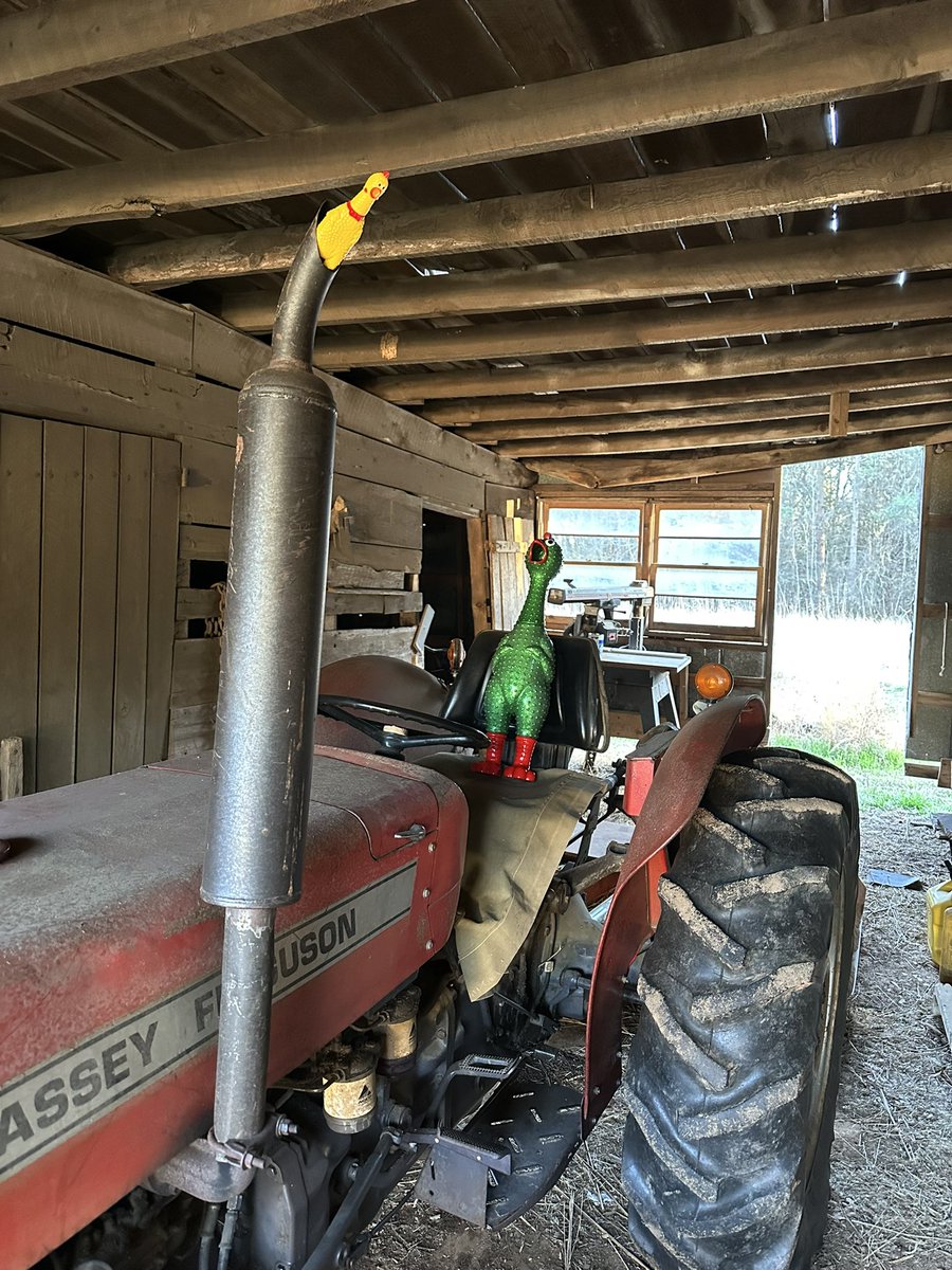 We will become louder than ever!