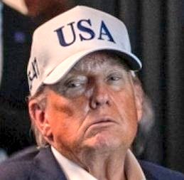 Donald Trump is a terrorist ?

Yes or No