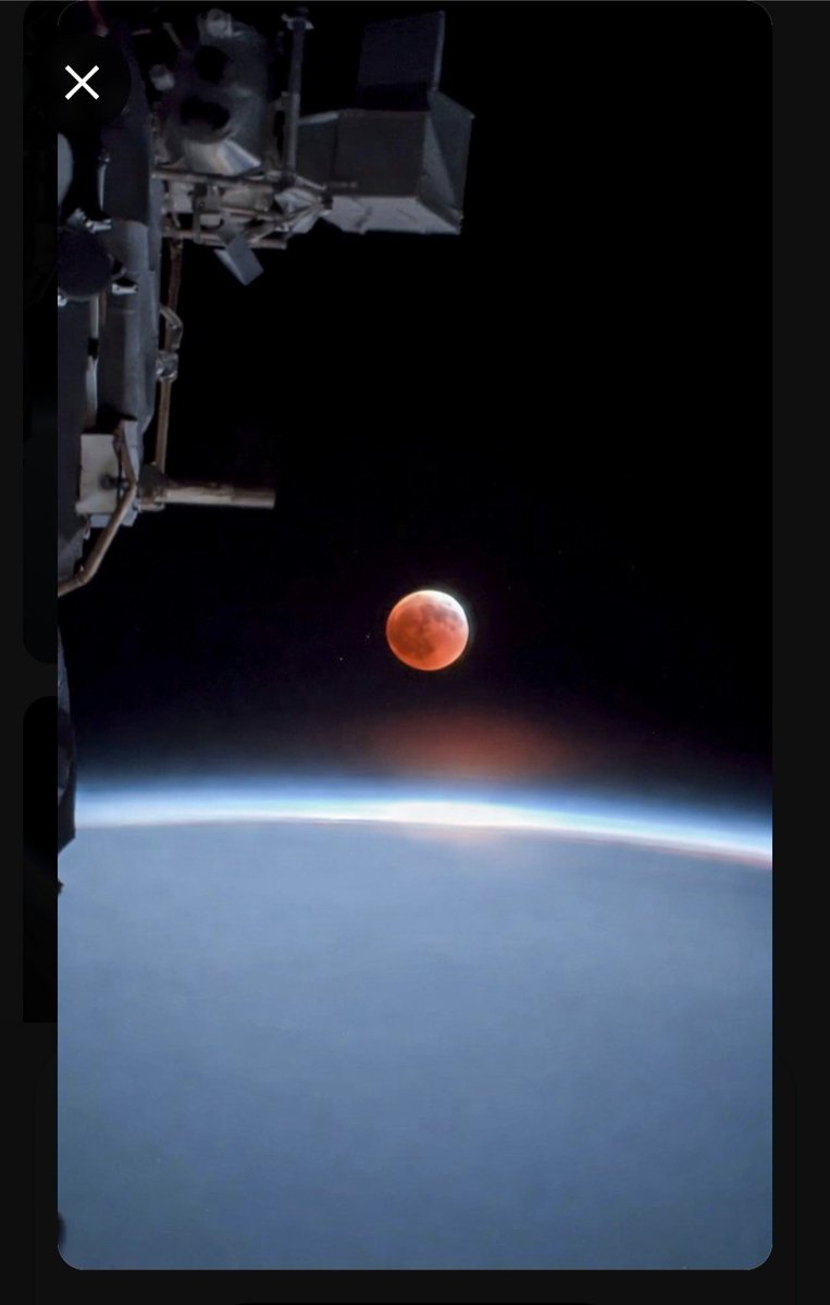 albertvaccaro21 tweet media