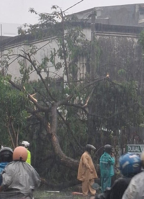 pacarlimjaebeom's tweet photo. Surabaya kemaren emang sekenceng itu anginnya. Kemarin sampe nepi gara² takut motoran pas hujan angin. Di sebrang jalan deket gue minggir ada pohon gede tumbang. Ada motor 1 &amp; mobil 1 yg kena, untung orangnya selamat. https://t.co/0HsnM3V9Ly